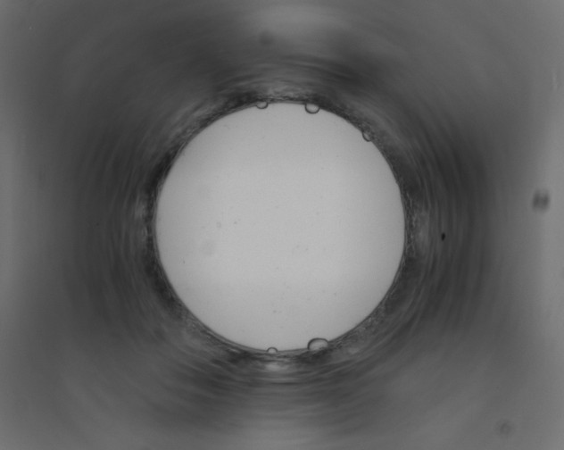 X0000094450506200711211521