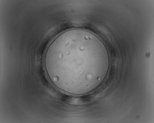 X0000094450507200711211521