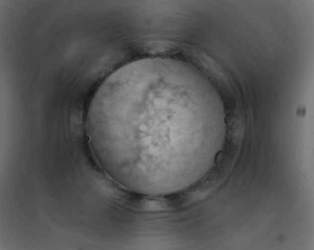 X0000094450510200711211521