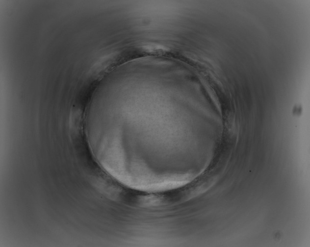 X0000094450511200711211521