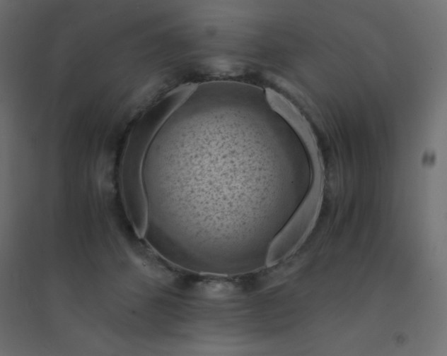 X0000094450512200711211521