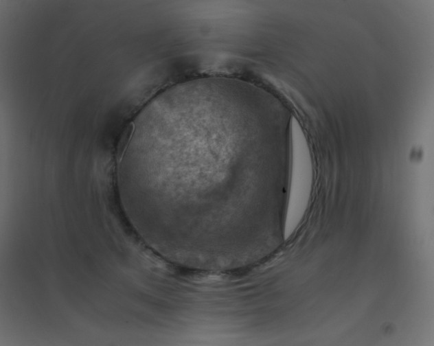 X0000094450513200711211521