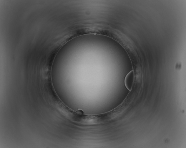 X0000094450514200711211521