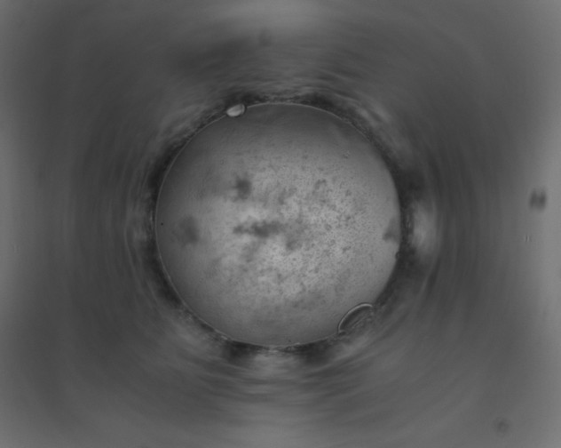 X0000094450515200711211521