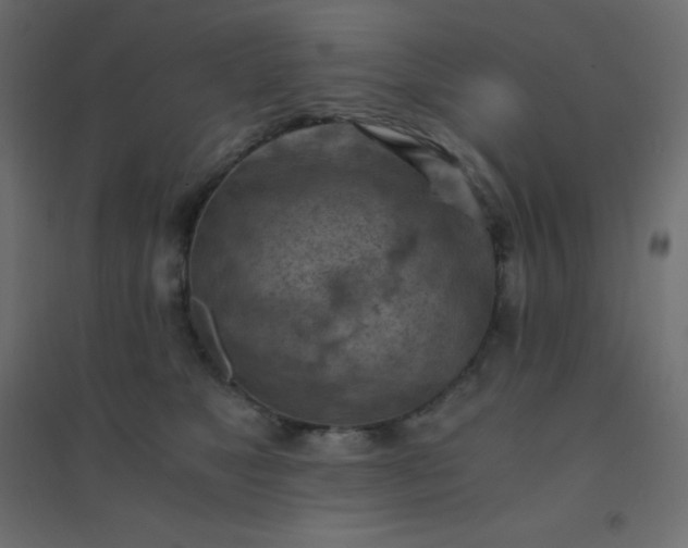 X0000094450517200711211521