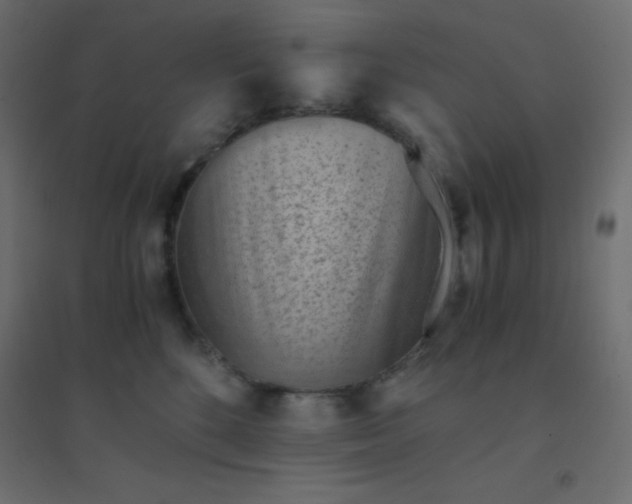 X0000094450520200711211521