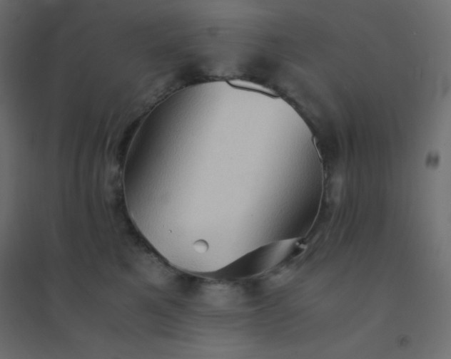 X0000094450521200711211521