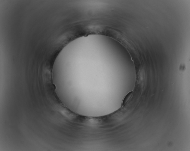 X0000094450522200711211521