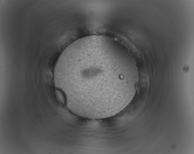 X0000094450523200711211521