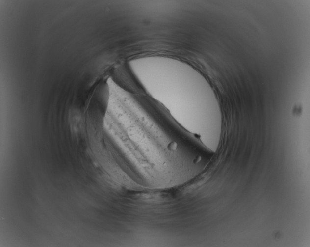 X0000094450524200711211521