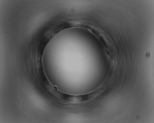 X0000094450525200711211521