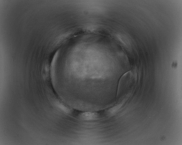 X0000094450526200711211521