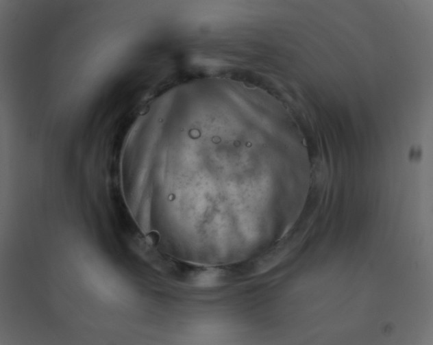 X0000094450527200711211521