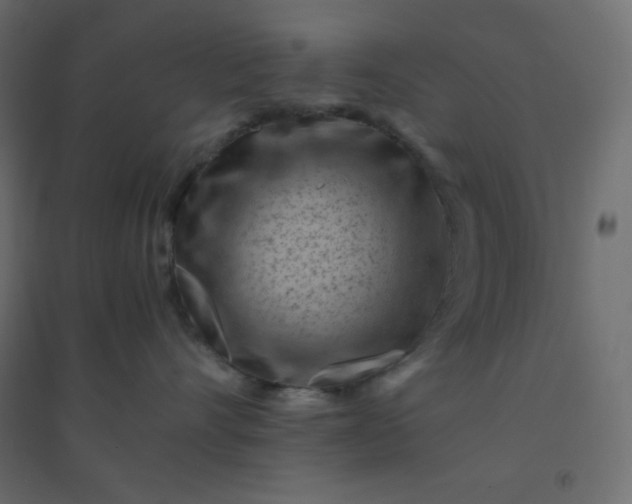 X0000094450528200711211521