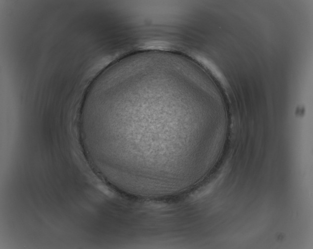 X0000094450529200711211520