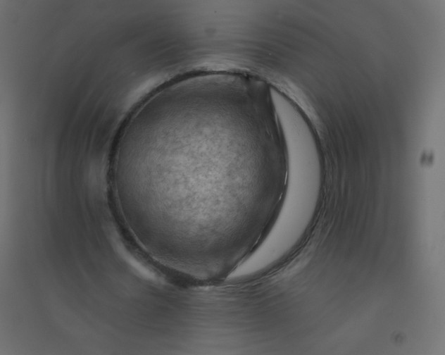 X0000094450530200711211520