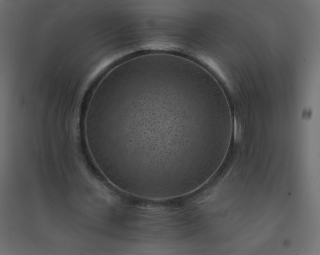 X0000094450531200711211520