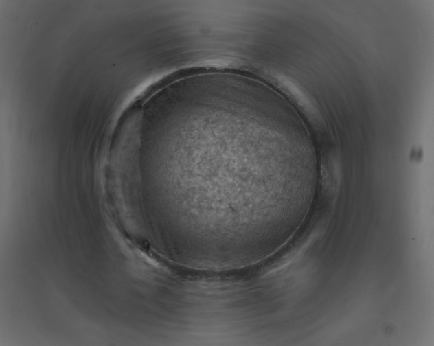 X0000094450532200711211521