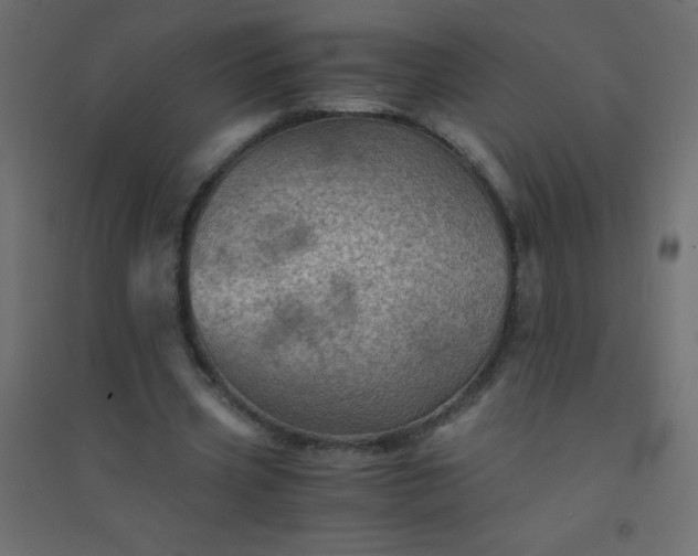 X0000094450533200711211521