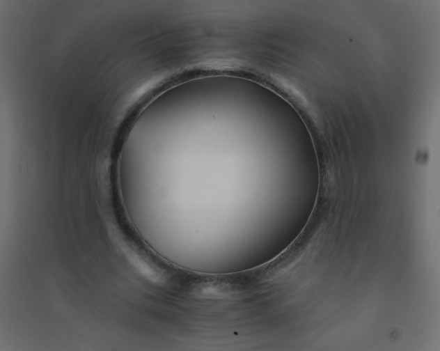 X0000094450535200711211521