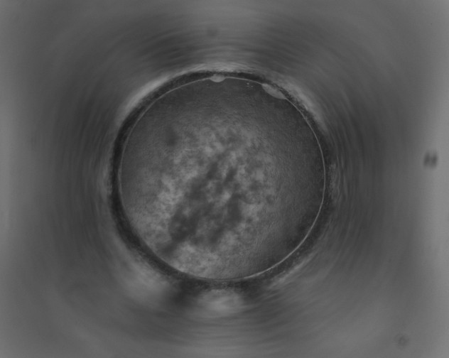 X0000094450536200711211521