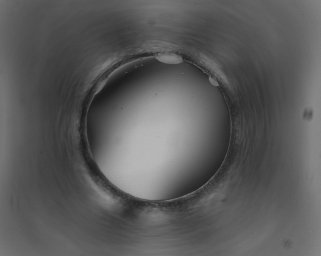 X0000094450538200711211521