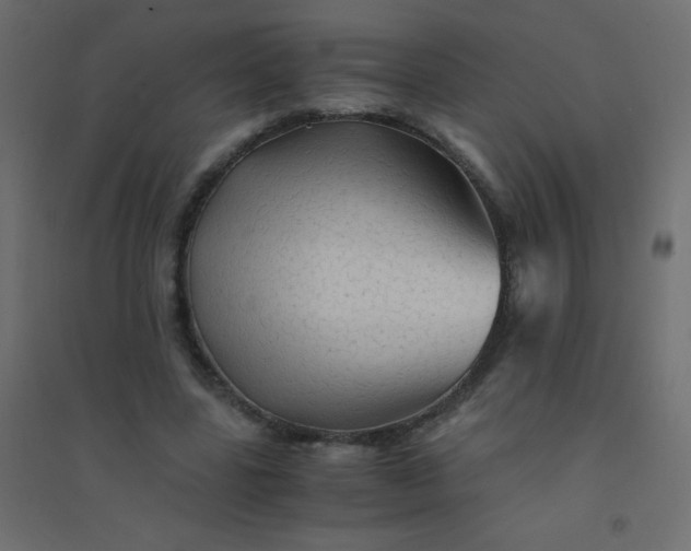 X0000094450539200711211521