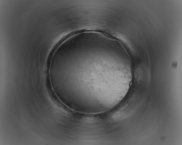 X0000094450540200711211521