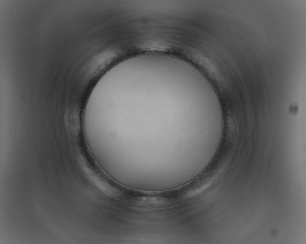 X0000094450541200711211521