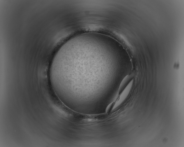 X0000094450543200711211521