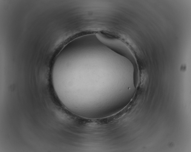 X0000094450544200711211521