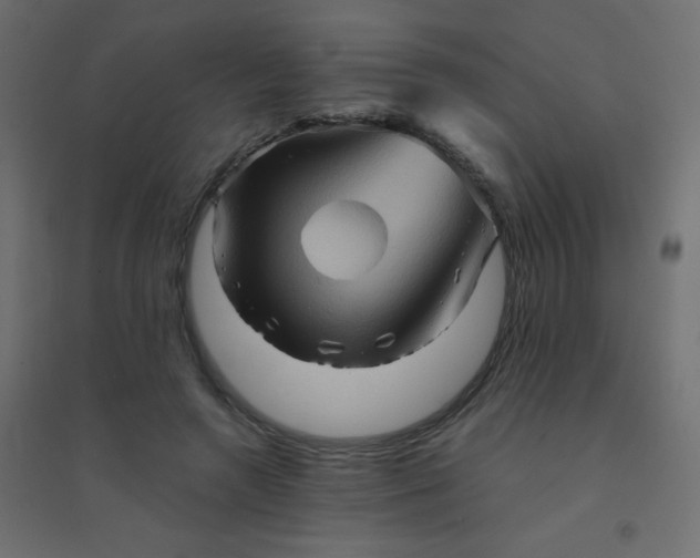 X0000094450546200711211521