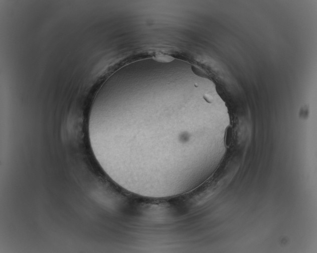 X0000094450548200711211521