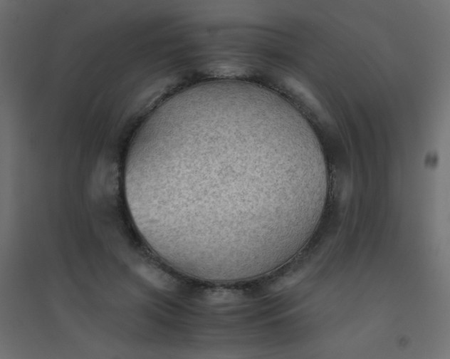 X0000094450549200711211521