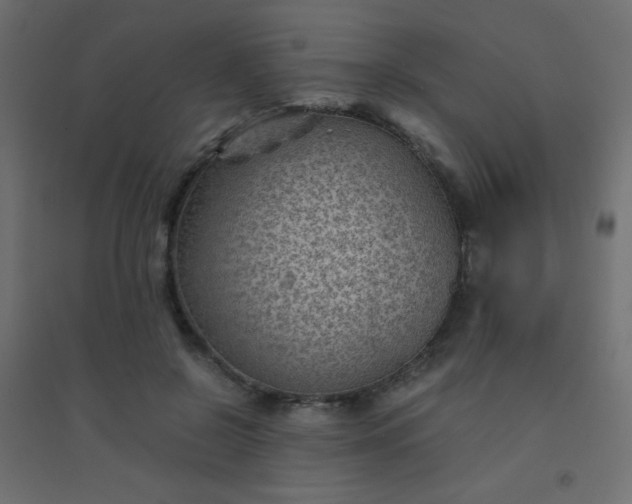 X0000094450550200711211521