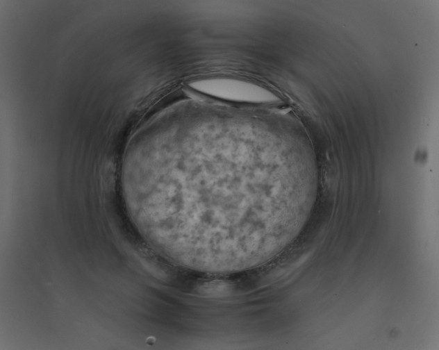 X0000094450551200711211521