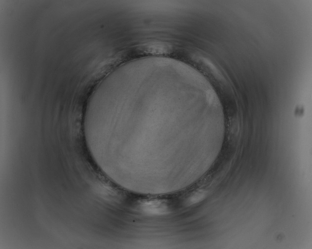 X0000094450553200711211521