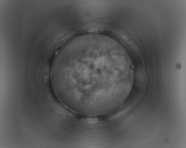 X0000094450554200711211521