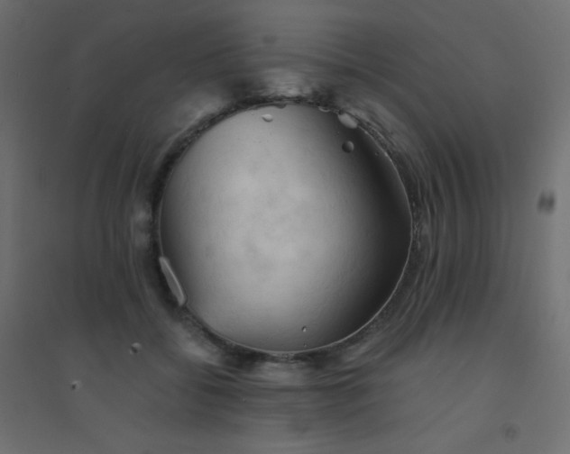 X0000094450556200711211521