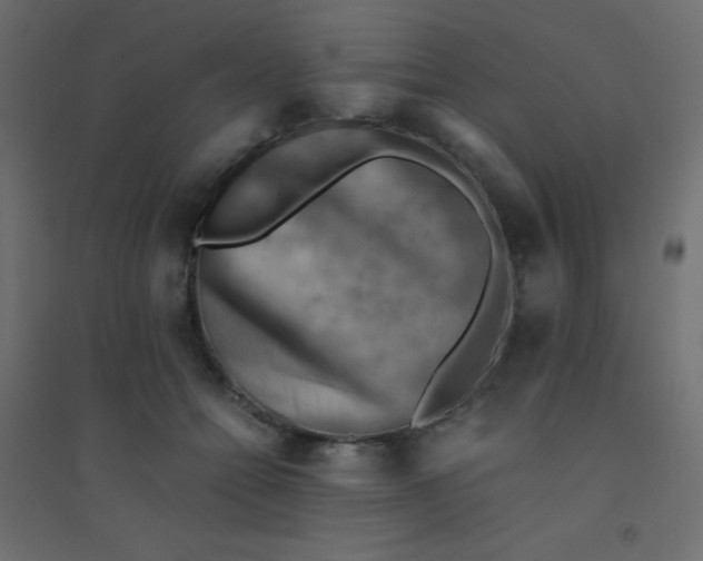 X0000094450558200711211521