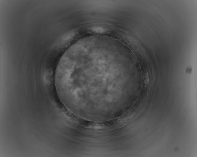 X0000094450559200711211521