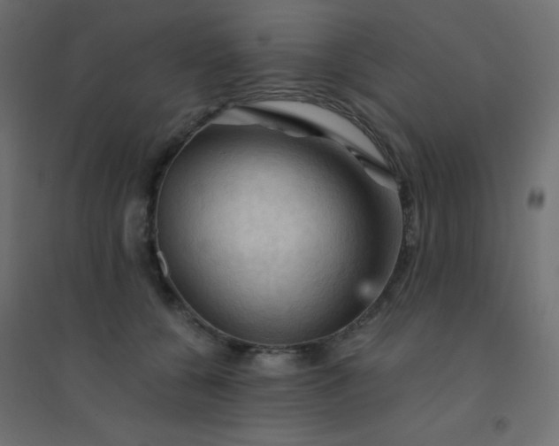 X0000094450560200711211521