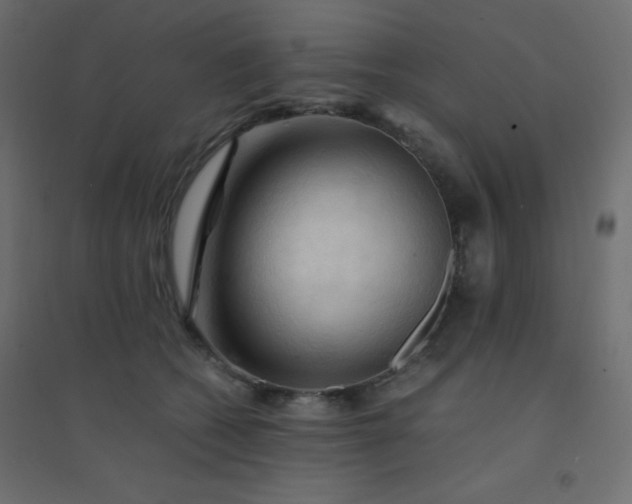 X0000094450562200711211521