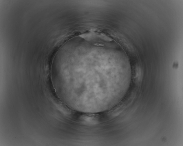 X0000094450563200711211521