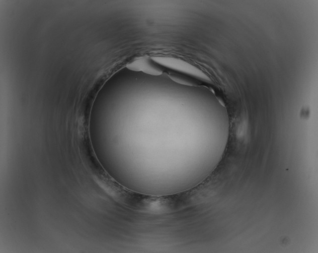 X0000094450564200711211521