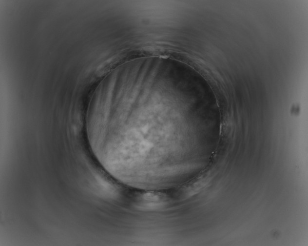 X0000094450566200711211521