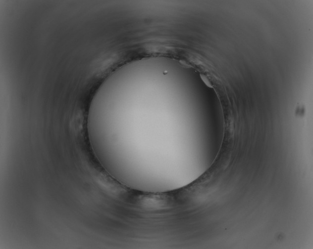 X0000094450567200711211521