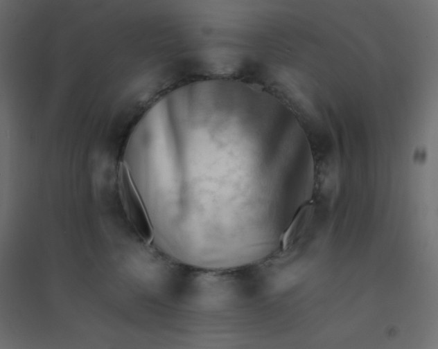 X0000094450568200711211521