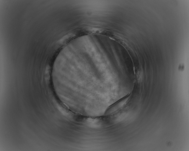 X0000094450570200711211521