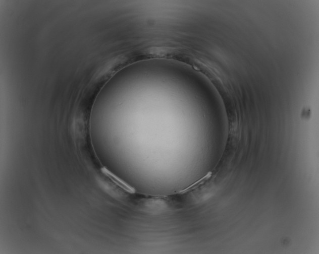 X0000094450572200711211521